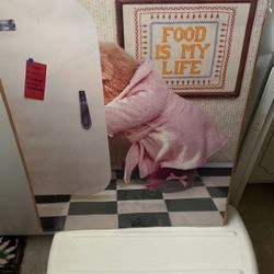 Animal  In The Refrigerator