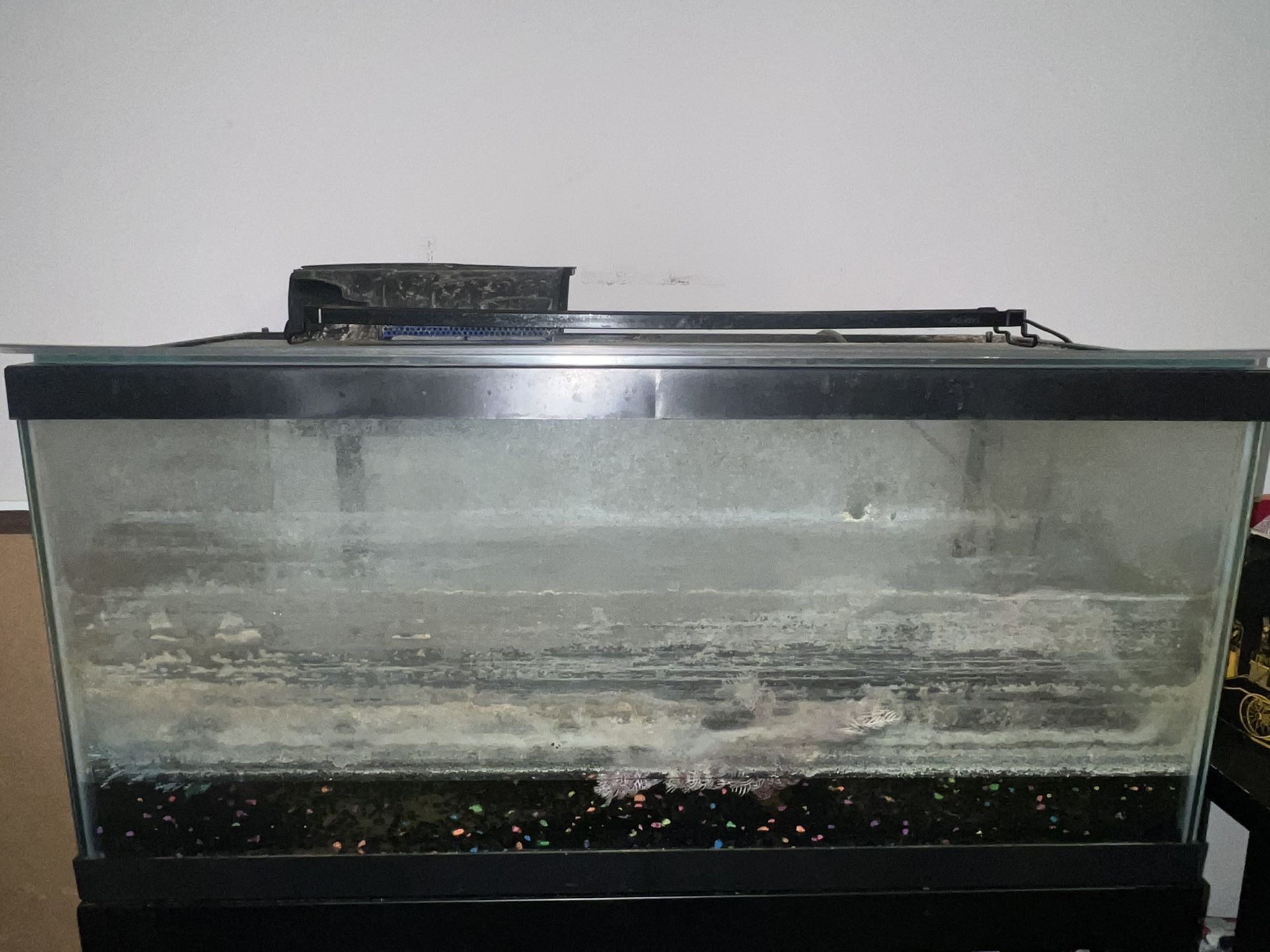 50 Gallon With Stand And Supplies