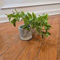 Small artificial plant