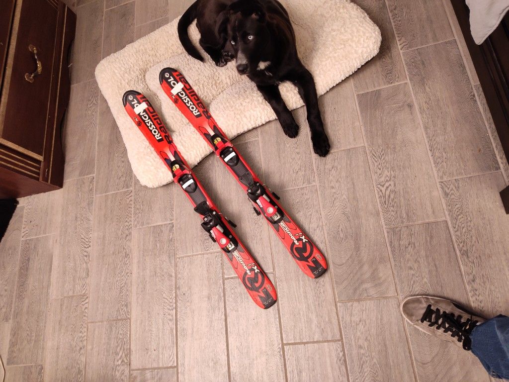 rossignol radical x1 downhill skis