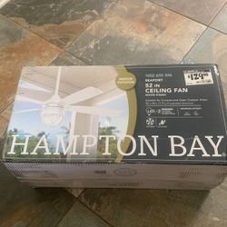Hampton Bay Indoor/Outdoor Ceiling Fan