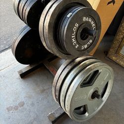 Variety Of Olympic Free Weight Plates