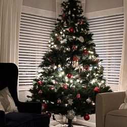 FREE Christmas Tree!🎄 