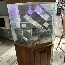 hexagon Fish tank 