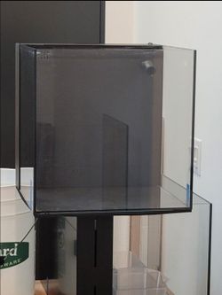 UNS 40A 16.9gallon Cube Dual All-in-One Rimless Aquarium