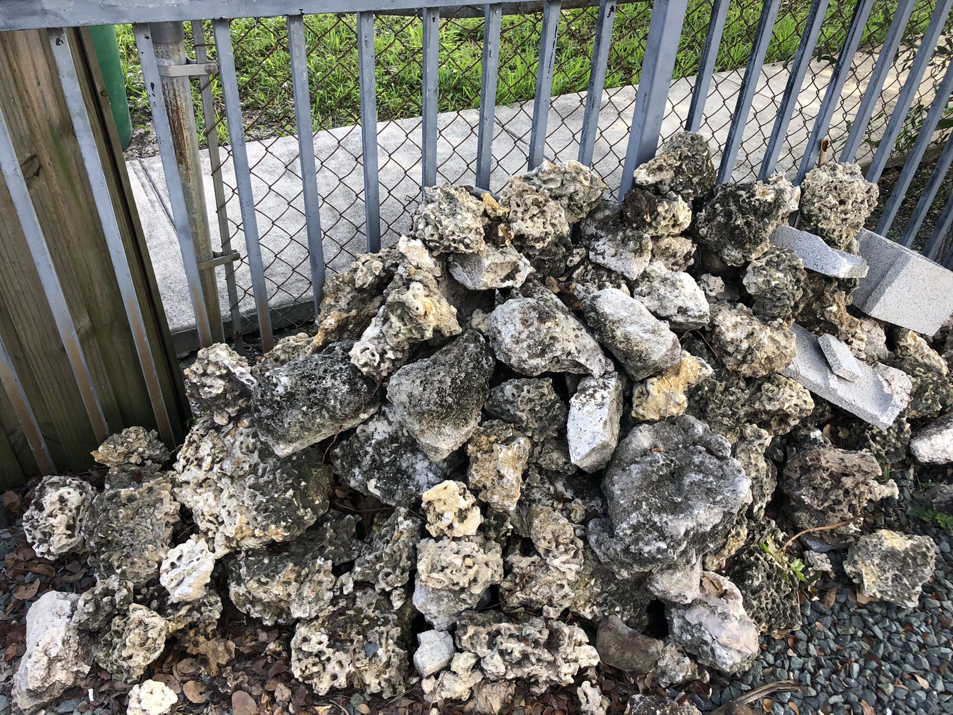 Coral decorative stones