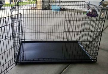 Huge dog crate 40 X 40 