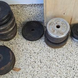 Assorted Standard Size Weight Plates