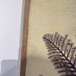 40” X 40” Frames Ashley 