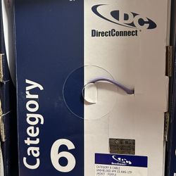 Cat6 New 