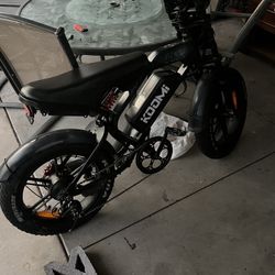 Electric Bike 