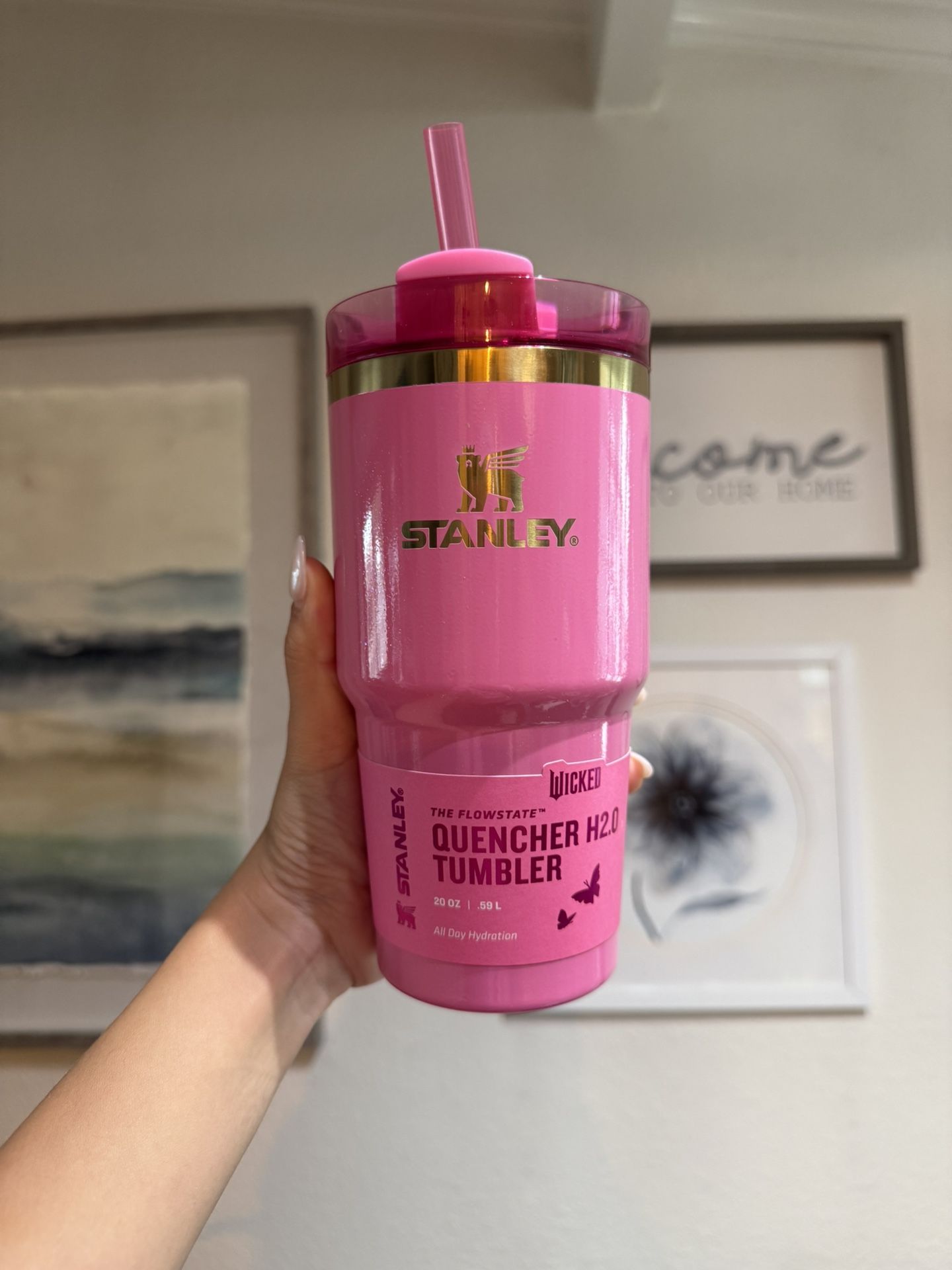 Stanley Wicked Collab