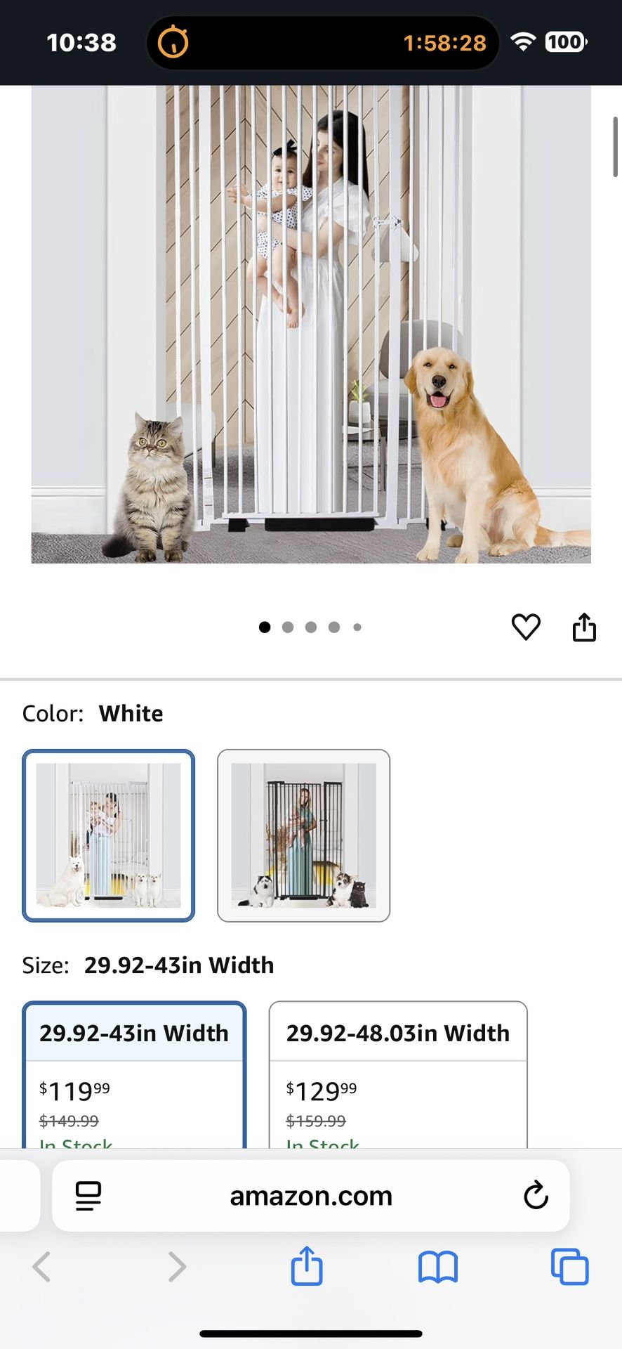 Dog Door