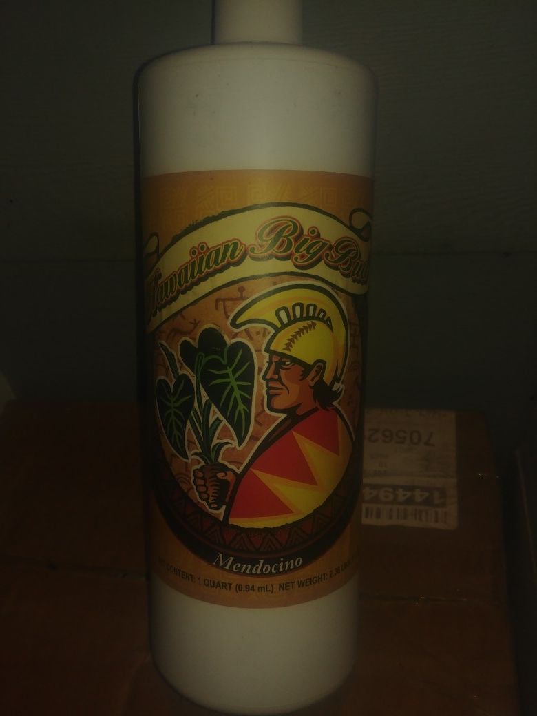 Hawaiian Big Bud Mendocino