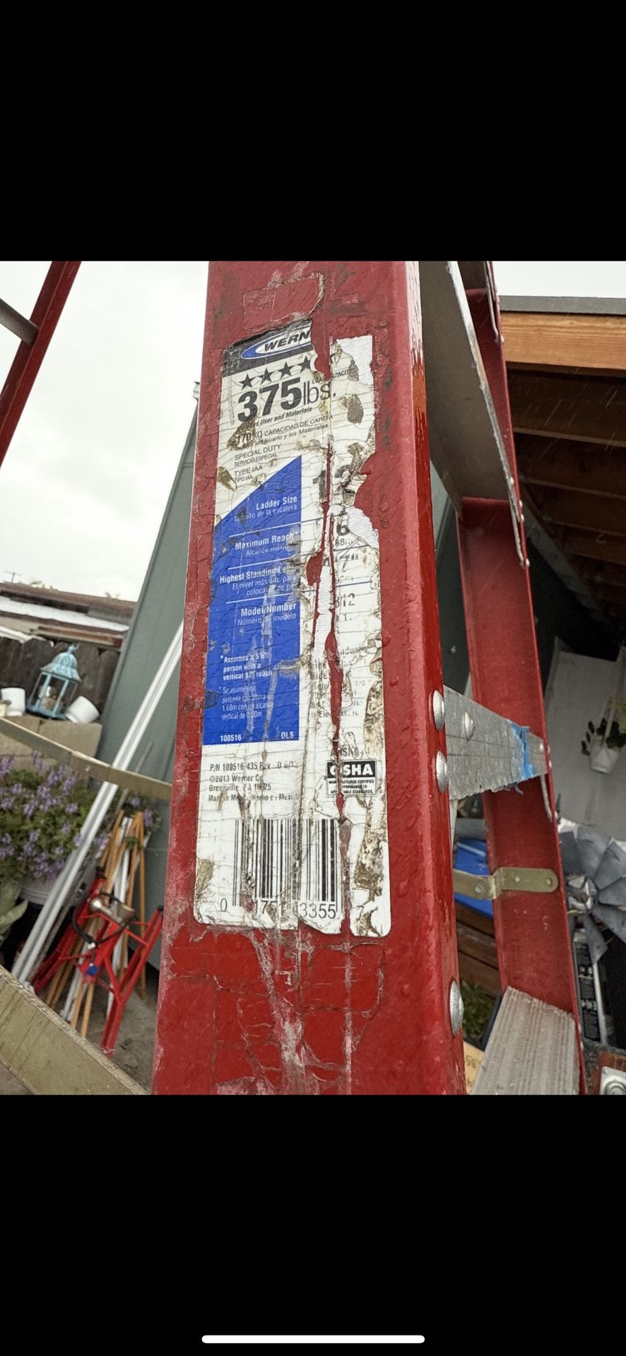 Werner 12 Ft Ladder