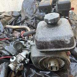 212 And 224 Predator Motors 