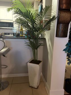 78” Large Indoor Palm Plant in White Planter