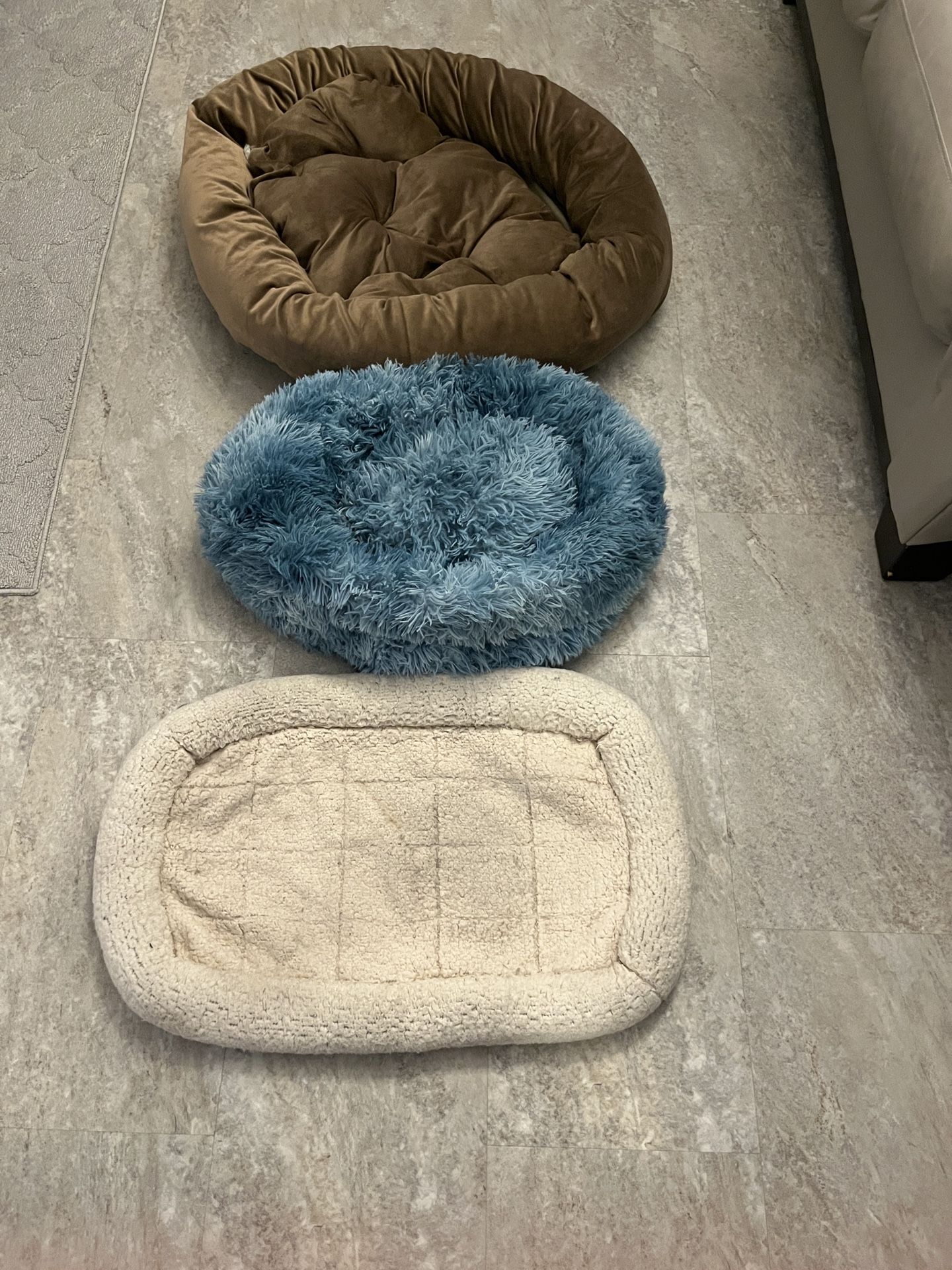 3 beds for small dog