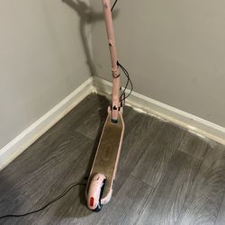 Ninebot Electric Scooter
