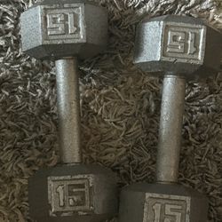 15 pound dumbbells