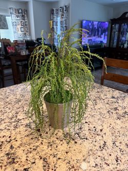 ARTIFICIAL PLANT IN SILVER POT
