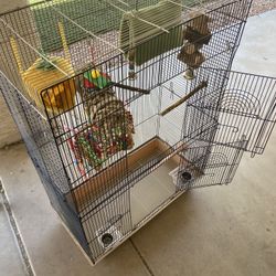 Bird Cage, Toys, Food, and more