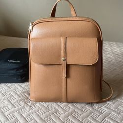 Miztique Back Pack