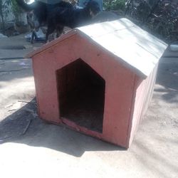 Small Dog House 