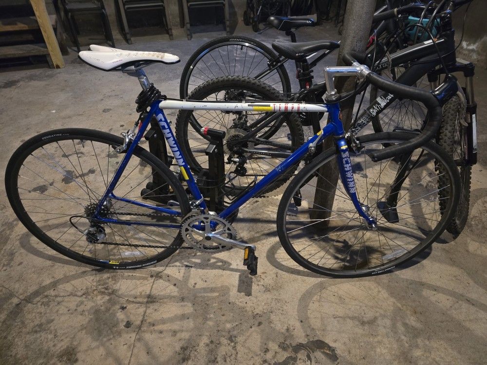 Schwinn Tempo Road Bike