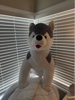 Big stuffed Animal Husky