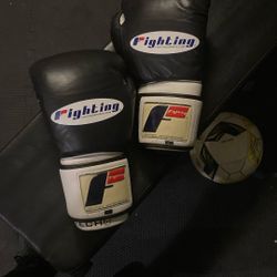 FIGHTING Boxing Gloves TRITECH 3T