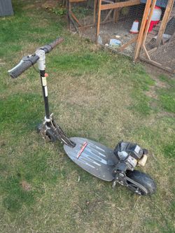 Bladez Moby 33cc Gas Scooter