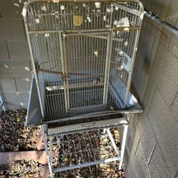Birds Cage 