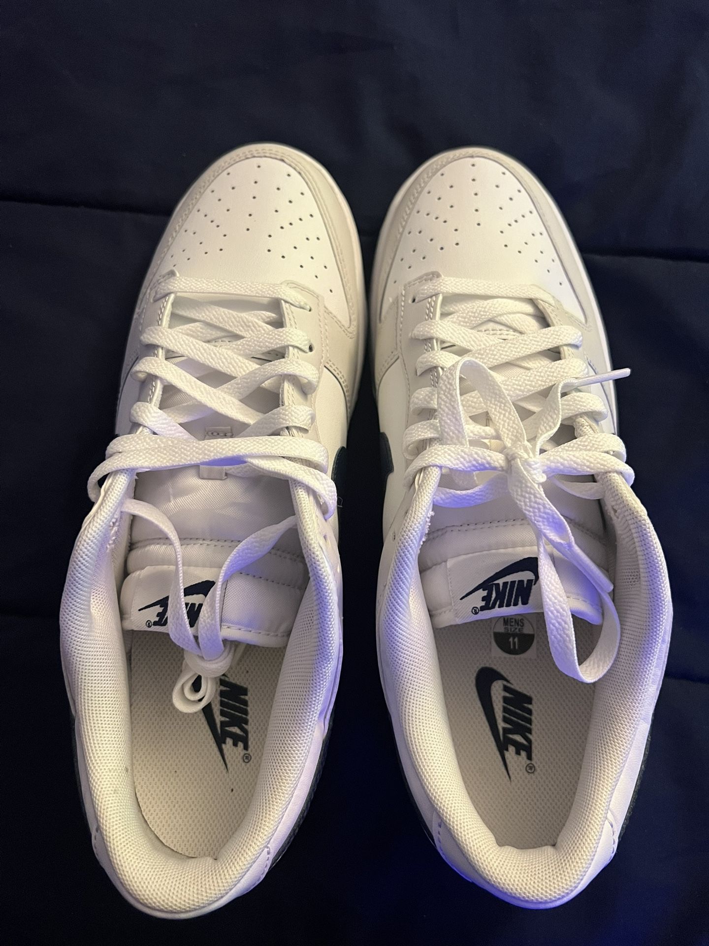 Nike Dunks Brand New