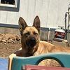 Nacho