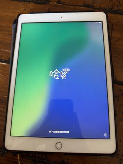 Apple IPad