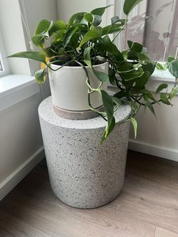 Article Solina Gray Terrazzo Outdoor Stool - $229 new (MOVING SALE)