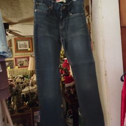 LEVI STRAUSS 511 SLIM BLUE JEANS. SIZE 29"x 29"