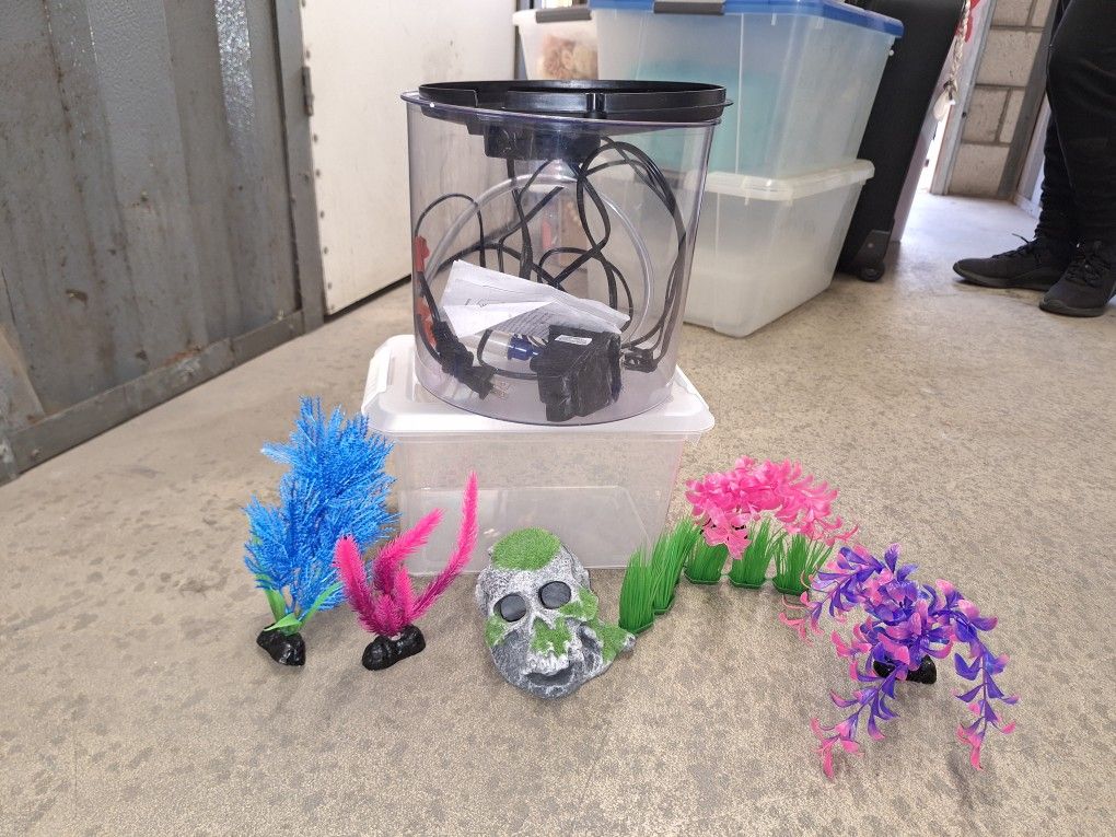 Aquarium, Filter, And Decor