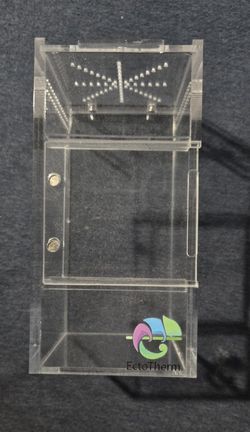 Enclosure For Jumping Spider, Insects