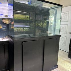 Fish Tank Aquarium 120 Gallon 