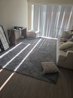 Moving... must sell...Grey Shag rug  8 by11