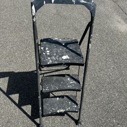 3step Gorilla Ladder