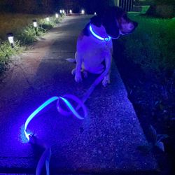 Led Dog Collar and Leash (6Ft) Set (Rechargeable)(Medium or Large)