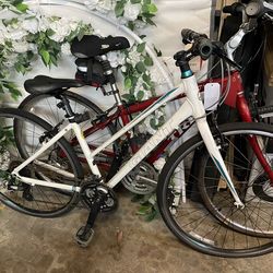 Giant Escape Hybrid Bike