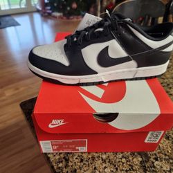 Nike Dunks 