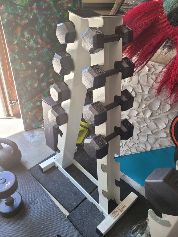 Dumbbells (2x10Lbs,2x15Lbs,2x20Lbs,2x25Lbs) and Rack for $180 Firm (Walnut 91789)