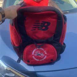Baseball Bag