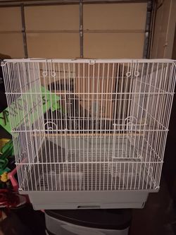 Bird cage