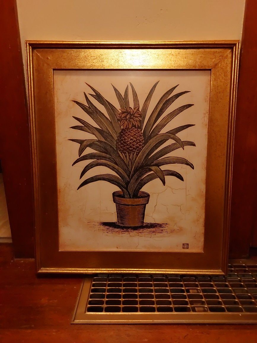 Gold Framed Pineapple Plant